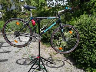 mountainbike, 180 €, Auto & Fahrrad-Fahrräder in 2700 Wiener Neustadt