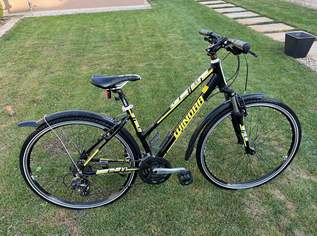 Damenfahrrad, 190 €, Auto & Fahrrad-Fahrräder in 7162 Tadten