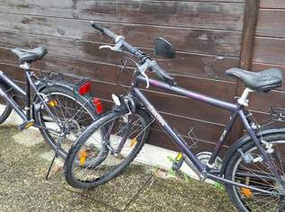 Damen und  Herrenfahrad, 200 €, Auto & Fahrrad-Fahrräder in 3150 Gemeinde Wilhelmsburg