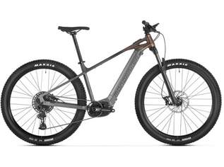 Mondraker Prime bronze 2024 - RH-M, 2399 €, Auto & Fahrrad-Fahrräder in Österreich