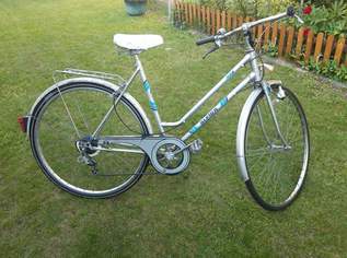 Fahrrad 28 Zoll, 6 gang Schaltung, 40 €, Auto & Fahrrad-Fahrräder in 2213 Gemeinde Bockfließ