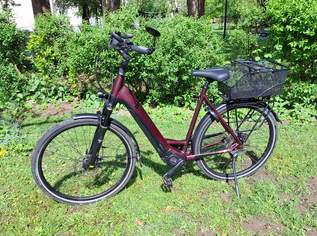 E-Bike Pegasus, 2400 €, Auto & Fahrrad-Fahrräder in 5020 Salzburg