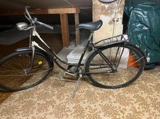 Steirer, 160 €, Auto & Fahrrad-Fahrräder in 2486 Gemeinde Pottendorf